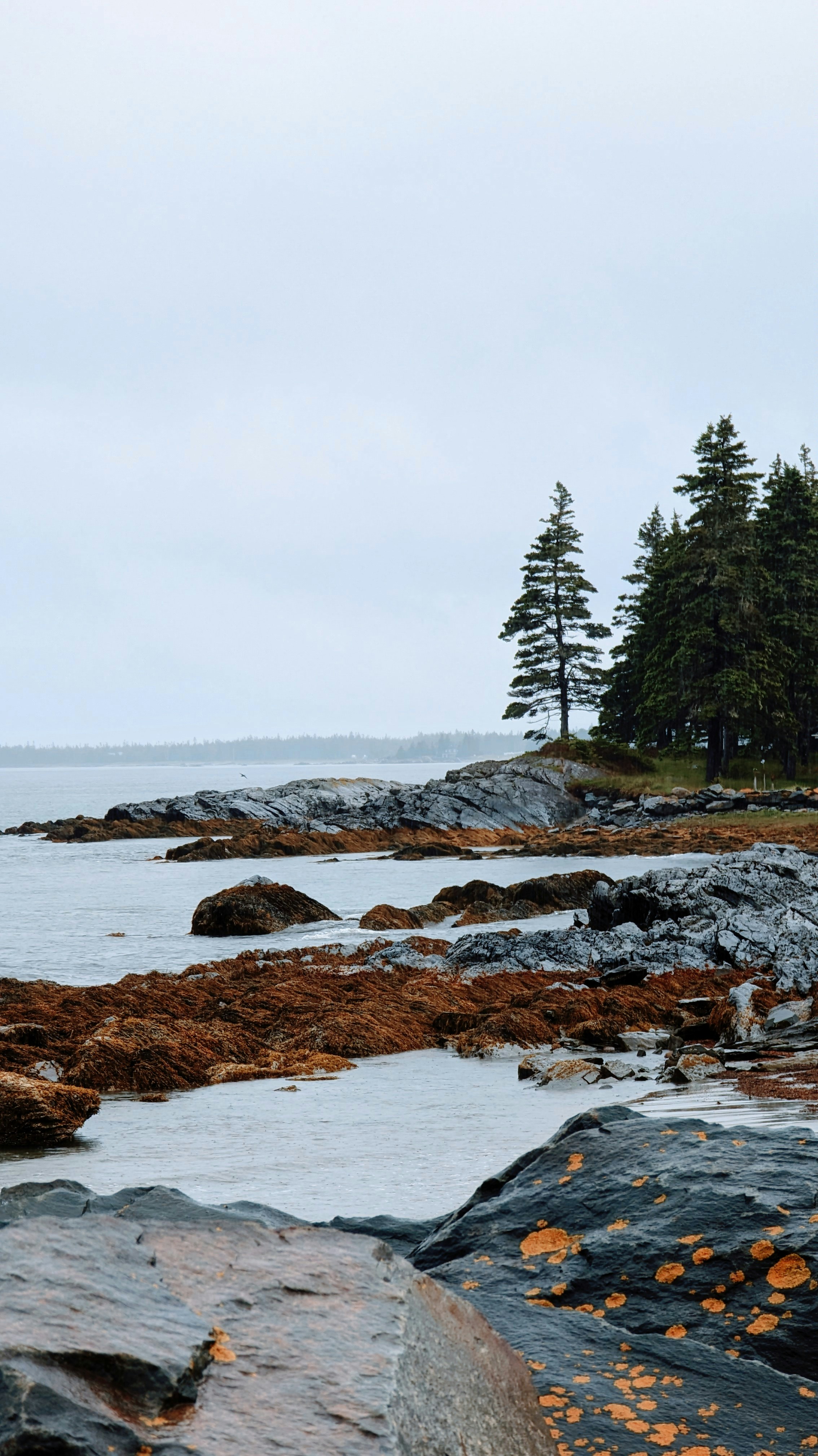 Photo by orange_seeds