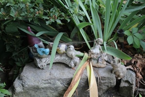 A garden setting features a collection of decorative items, including a gnome partially hidden by greenery and a selection of small bird statues in various colors perched on a stone with 'Welcome' inscribed on it. Surrounding the statues are a mix of lush green plants and a few dried brown leaves, adding contrast to the natural setting. A small stone statue resembling a rabbit is also present.