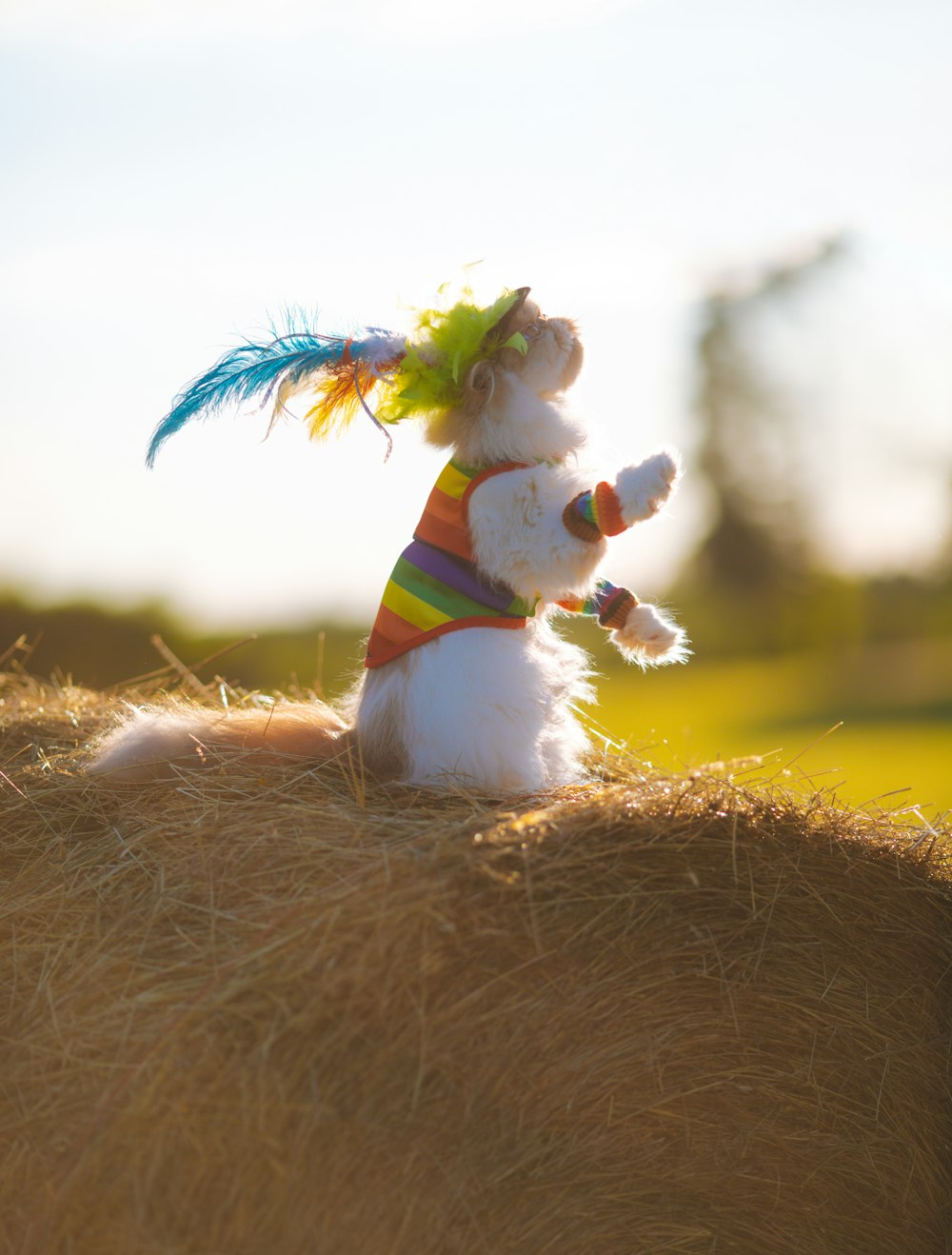 a stuffed animal is sitting on a bale of hay