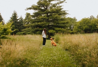 A professional dog trainer demonstrating training techniques with a calm dog in an outdoor setting.