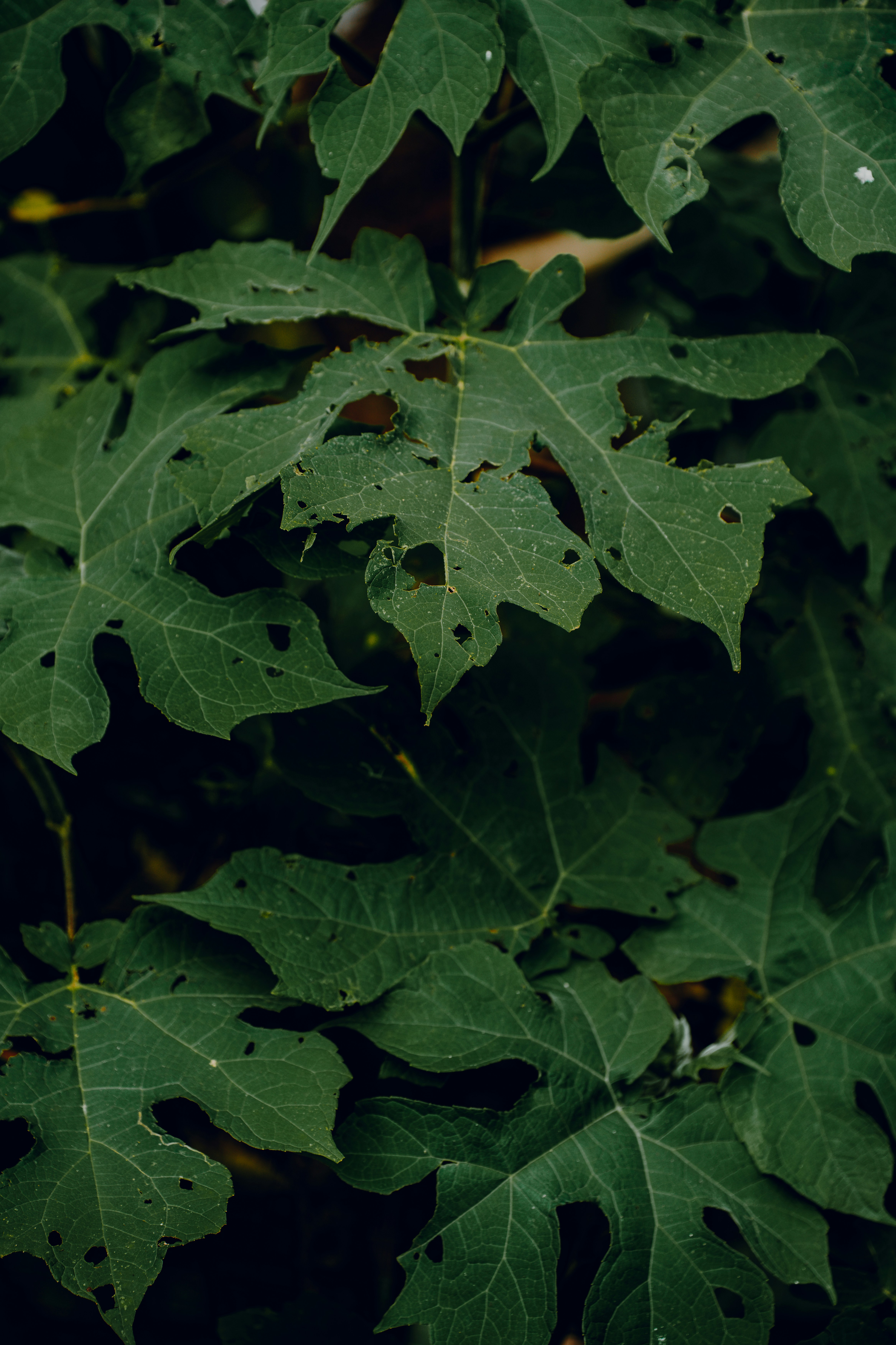 Photo by elianna_gill03