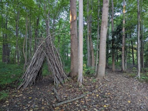 Mystery Forest Playset