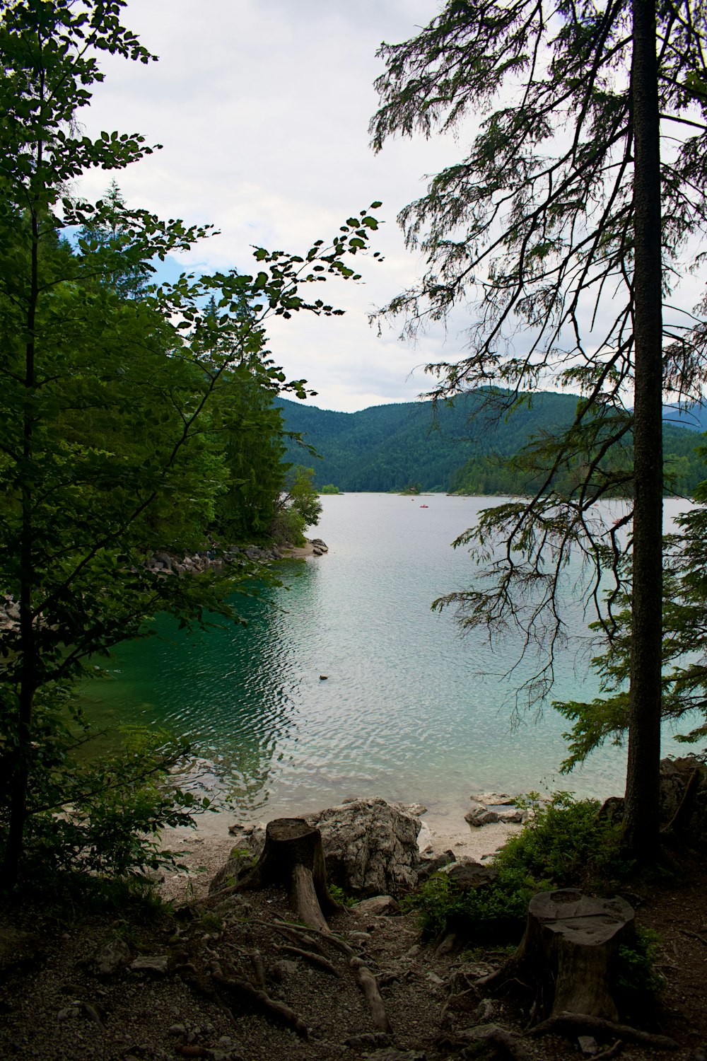 a lake surrounded by trees and a forest
