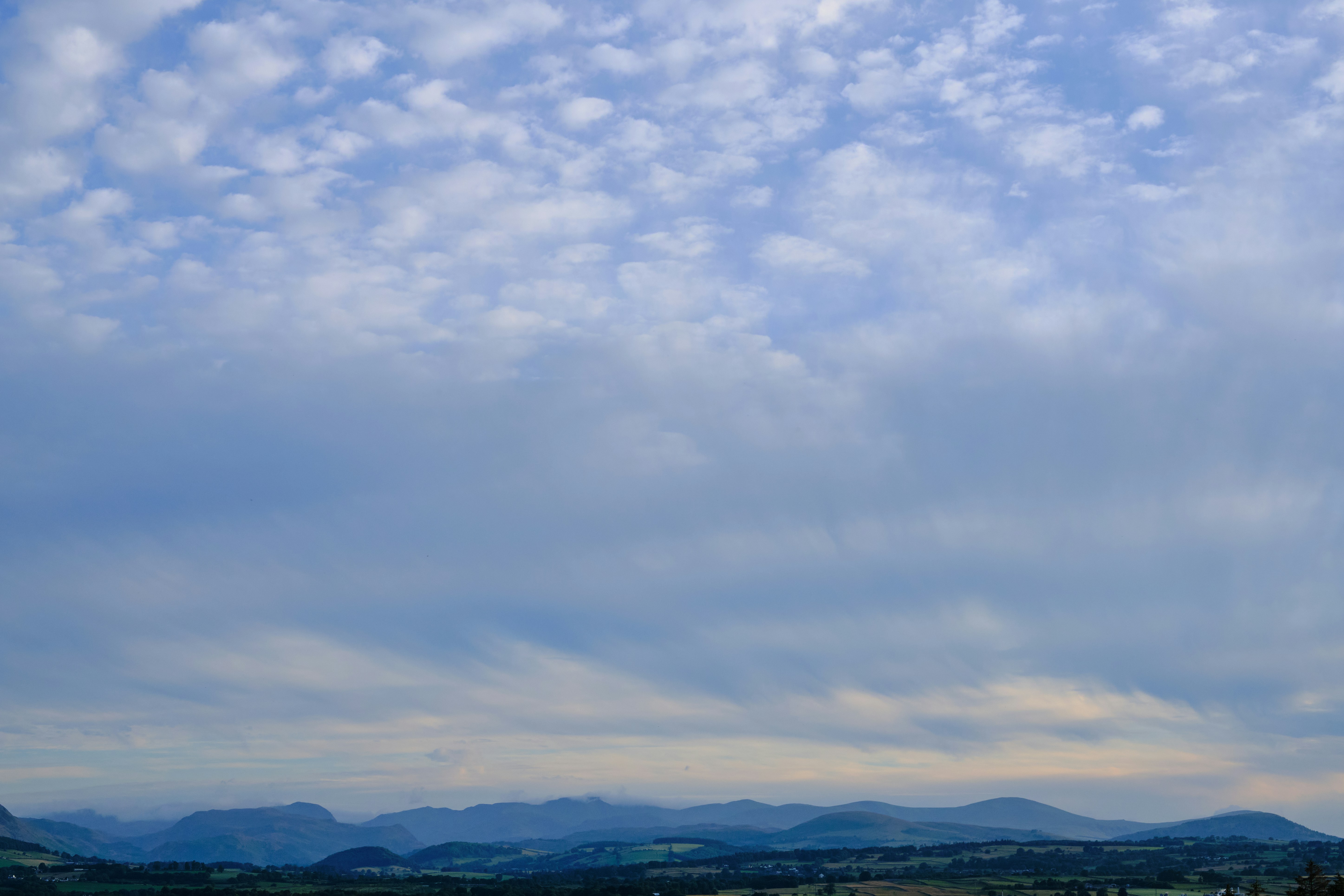 Photo by frostroomhead