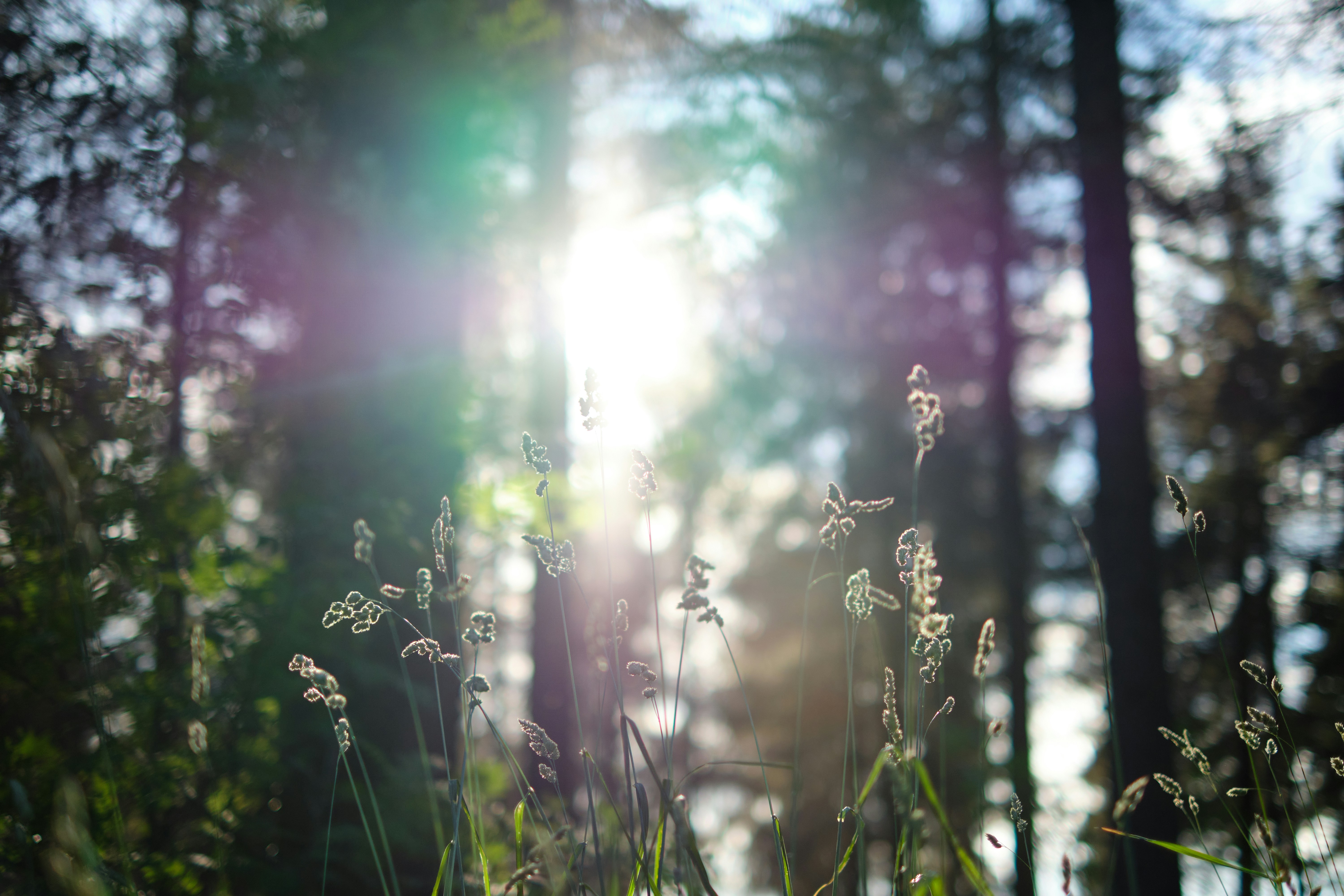 Photo by frostroomhead