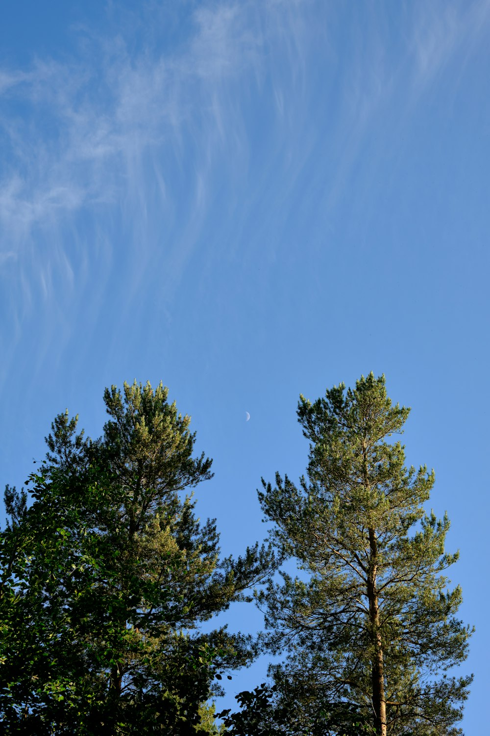 a clear blue sky with some clouds and some trees