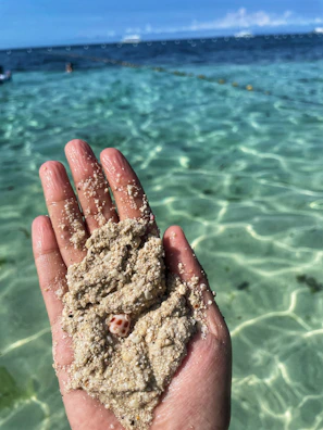 Close-up of hands holding sediment samples collected from the ocean floor