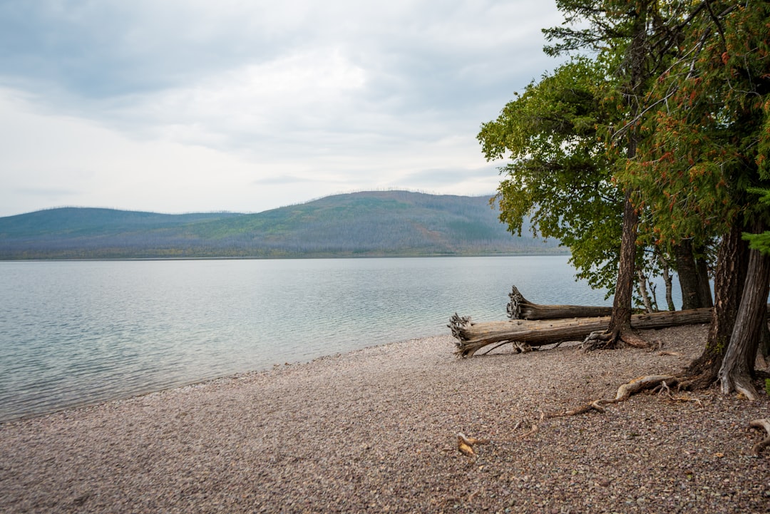 a large body of water surrounded by trees, Lake McDonald within Glacier National Park