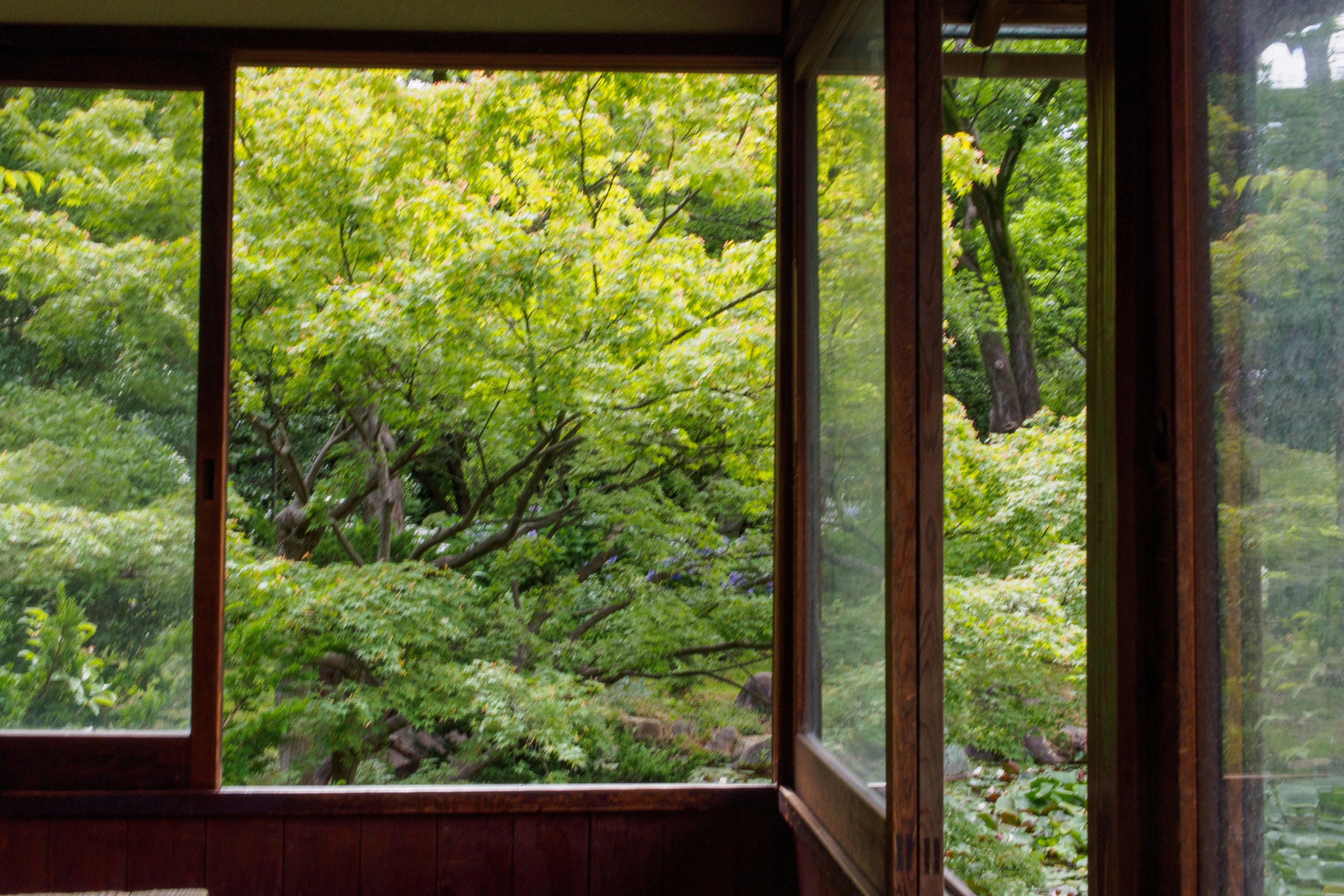 Photo by pontanishida