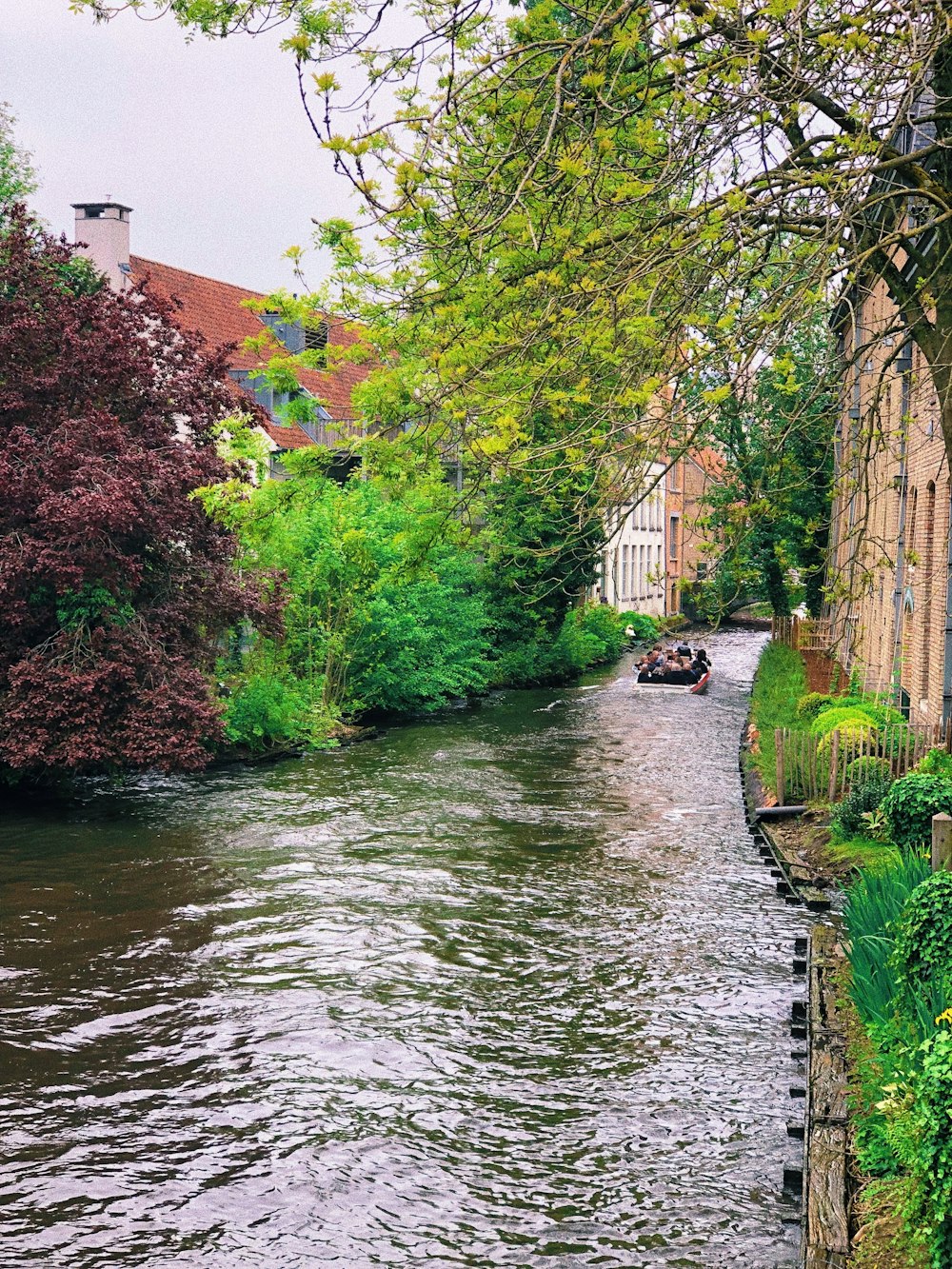 a small boat traveling down a river next to a lush green forest