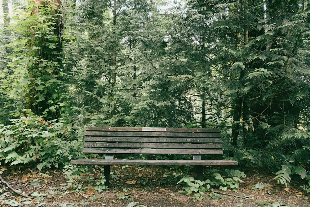 a wooden bench sitting in the middle of a forest