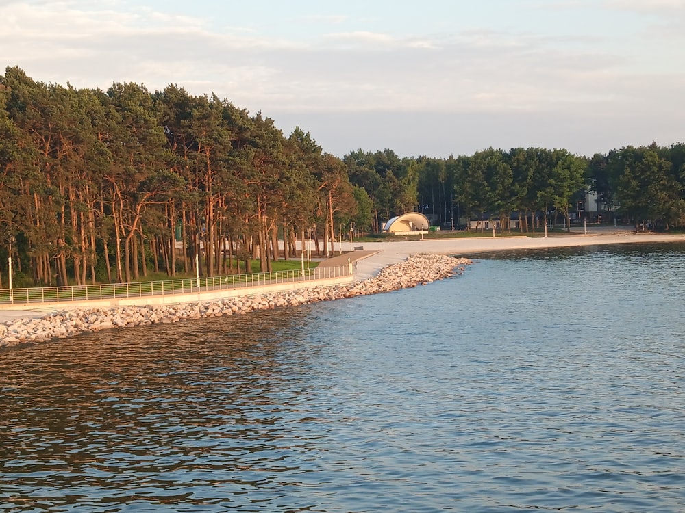 a body of water surrounded by a forest