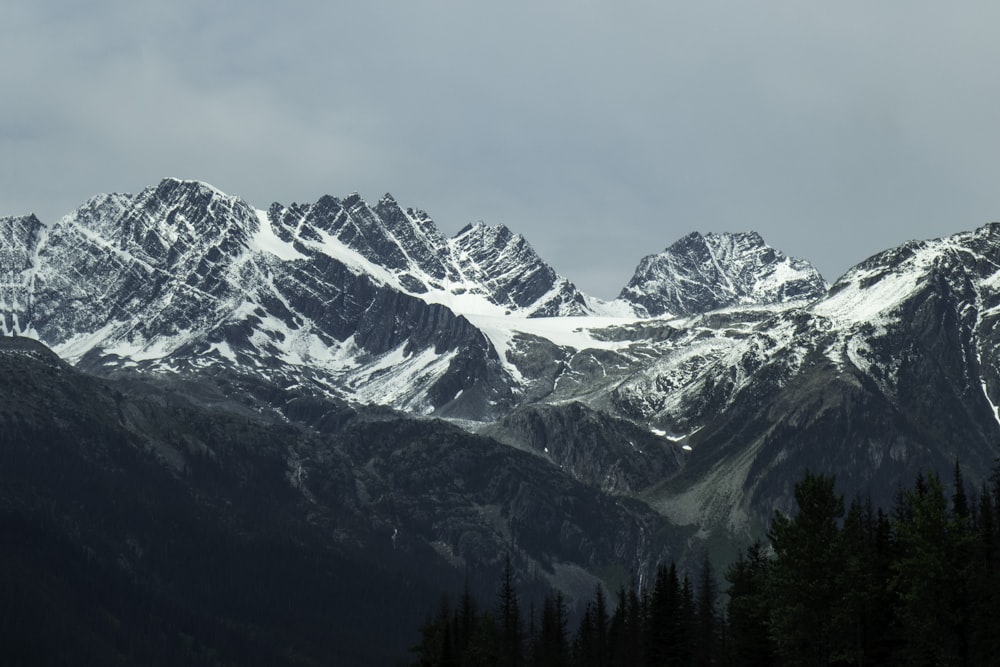 a snowy mountain range with pine trees in the foreground