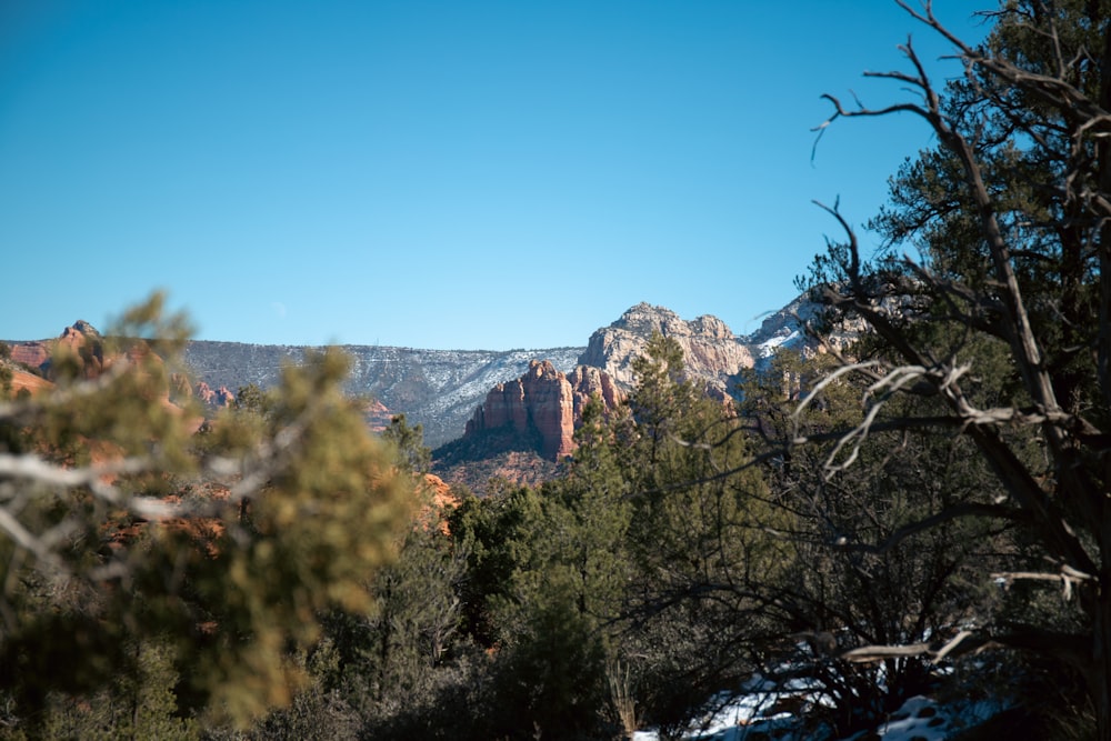 a view of a mountain range with trees in the foreground