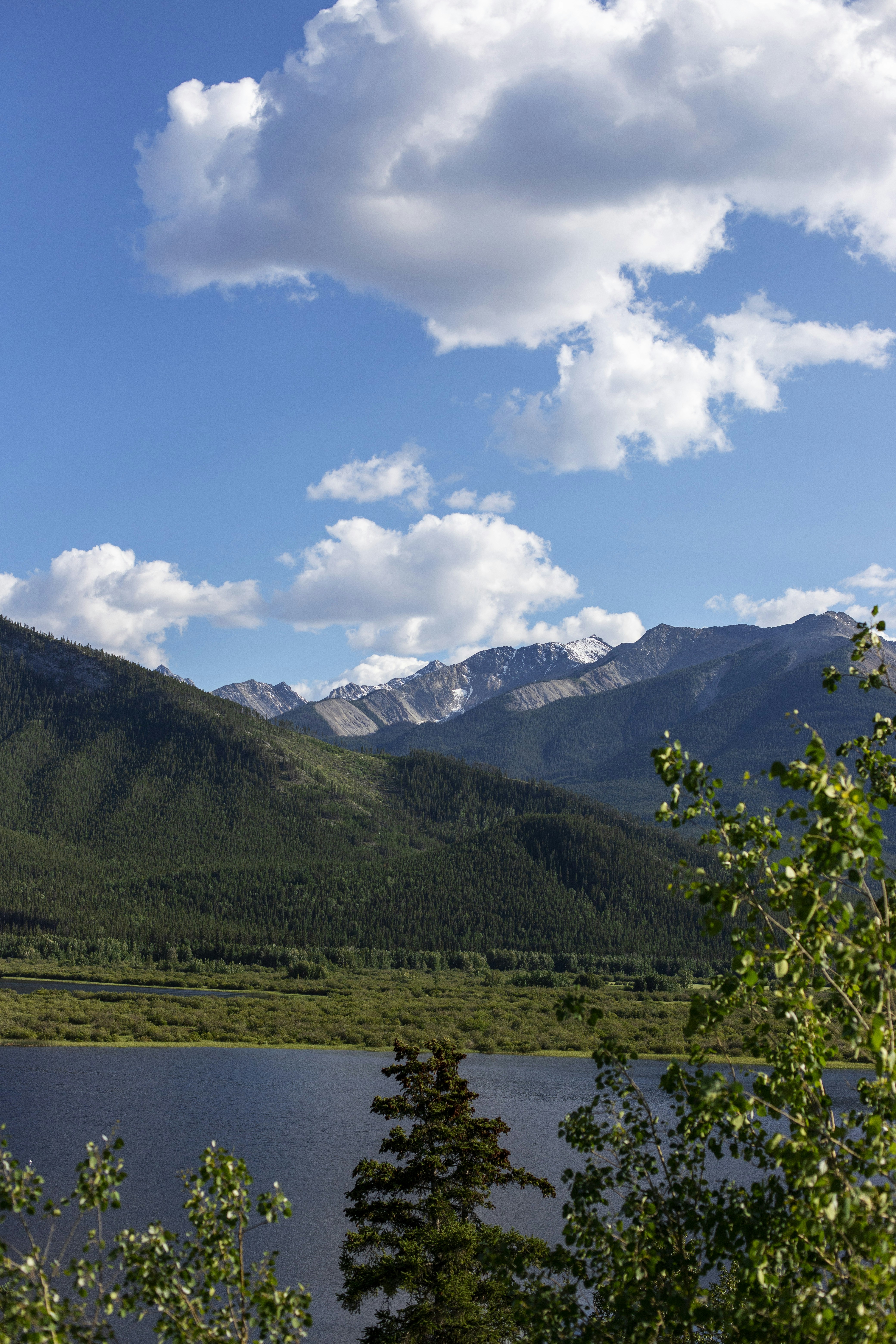 Photo by hollybooker15