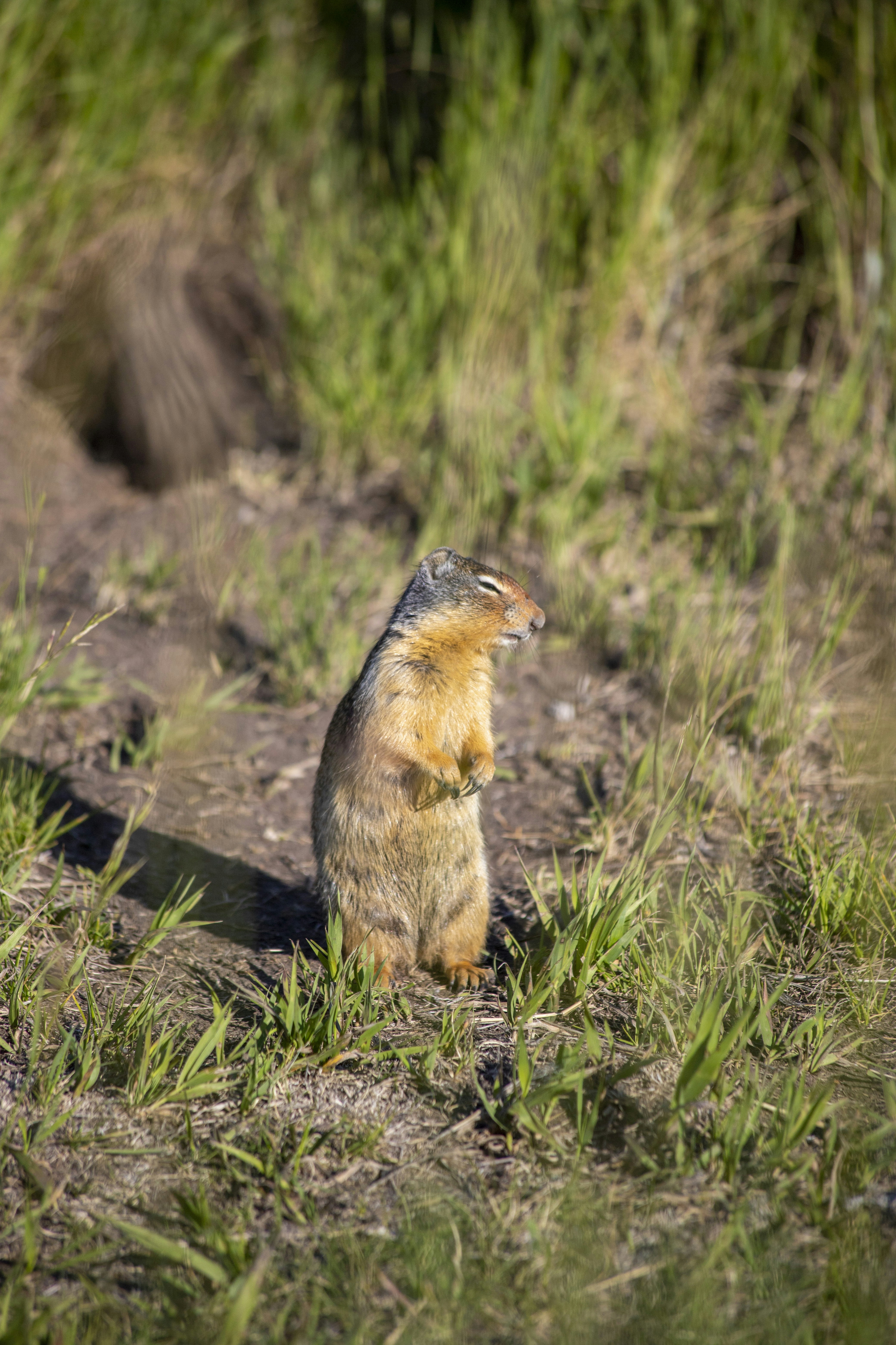 Photo by hollybooker15