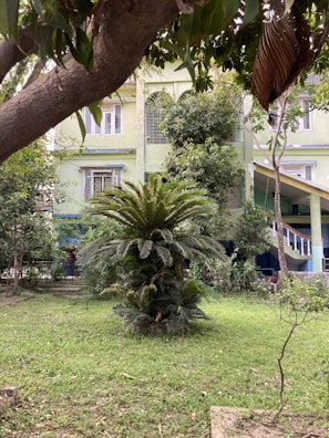 Outdoor garden area of a residential unit with lush greenery.