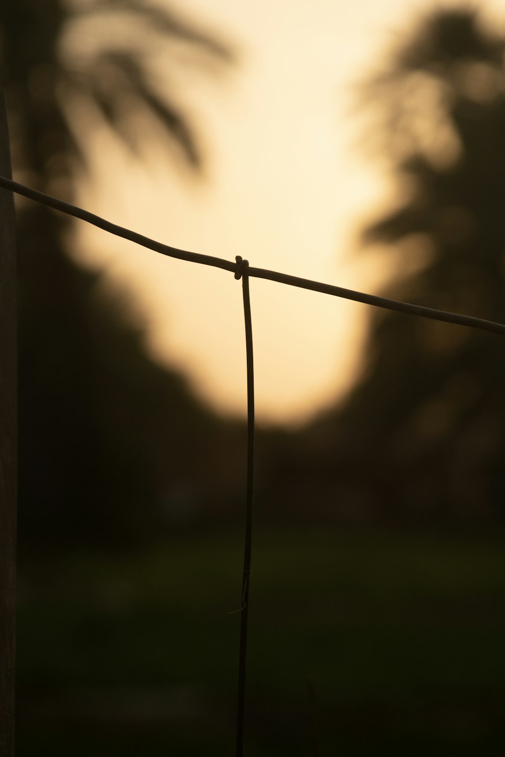 a close up of a wire fence with trees in the background
