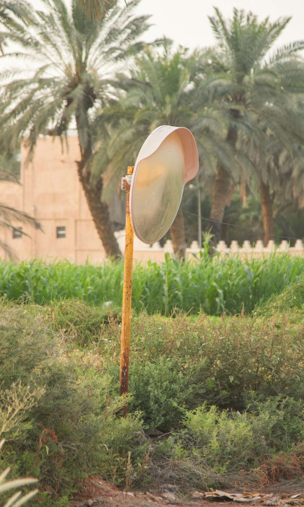 a street light sitting in the middle of a lush green field