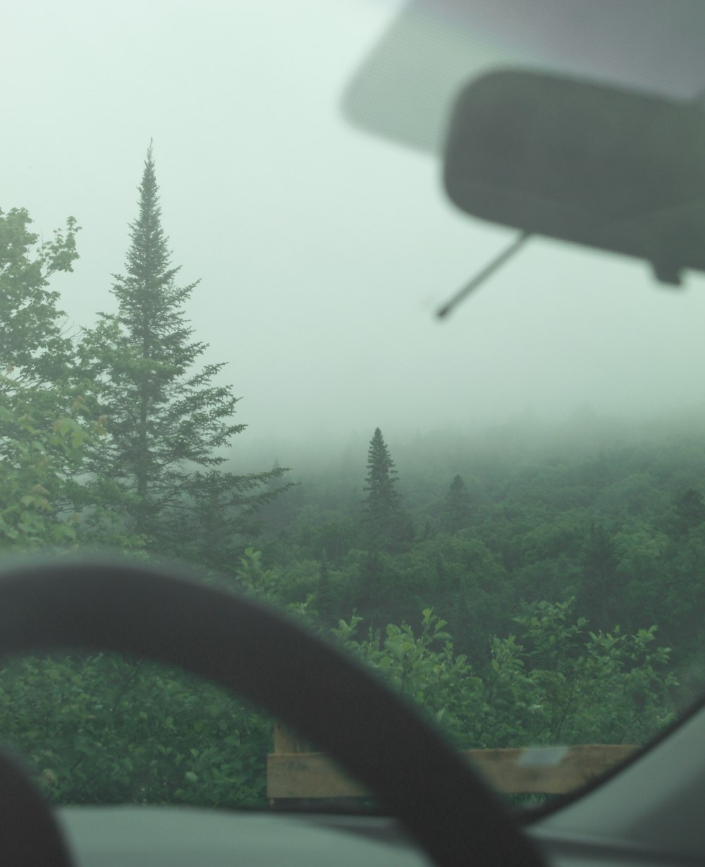 a foggy view of a forest from inside a car