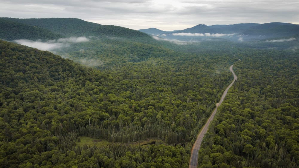 Vue aérienne d’une route au milieu d’une forêt