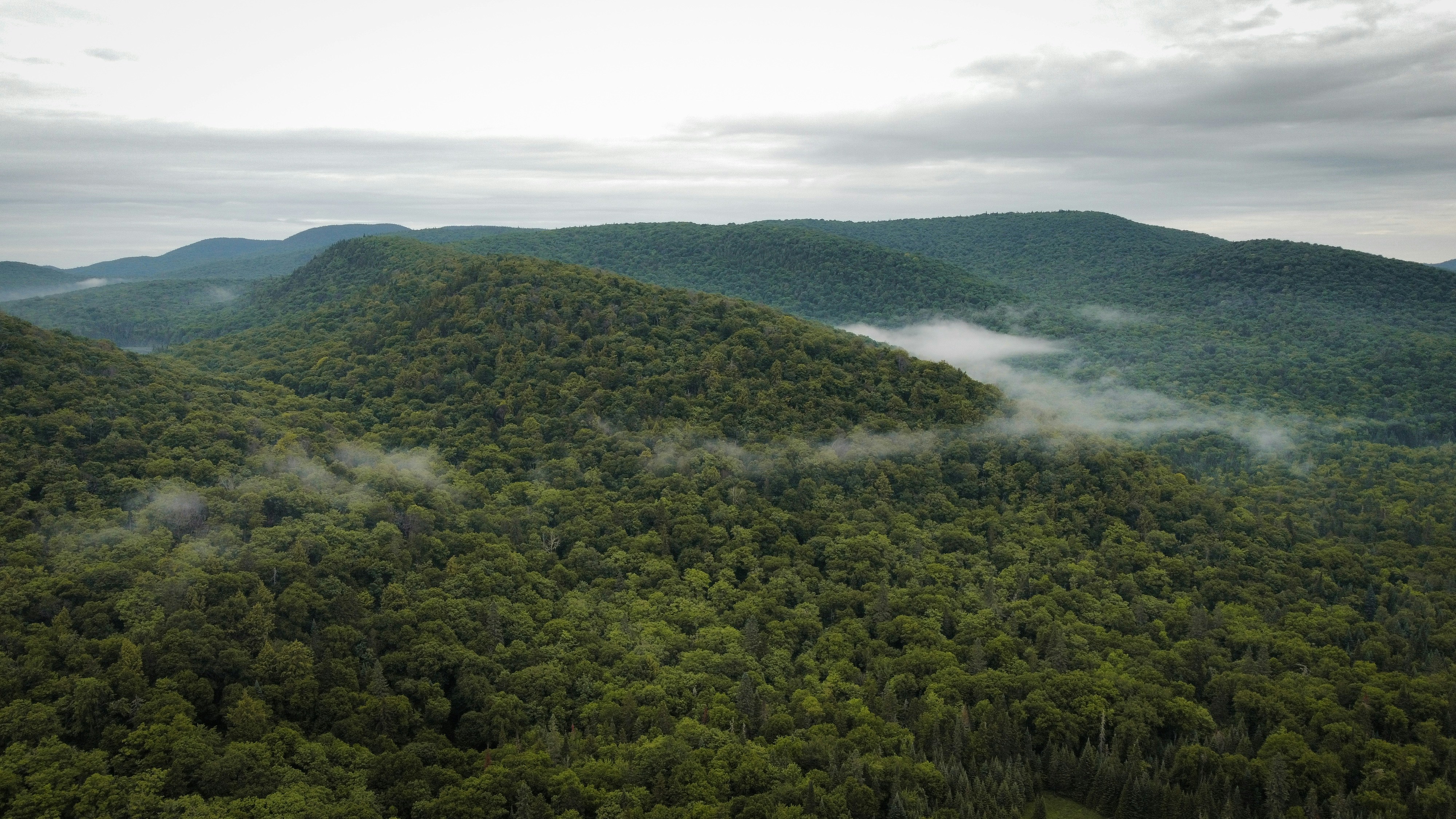 a view of a mountain range covered in fog