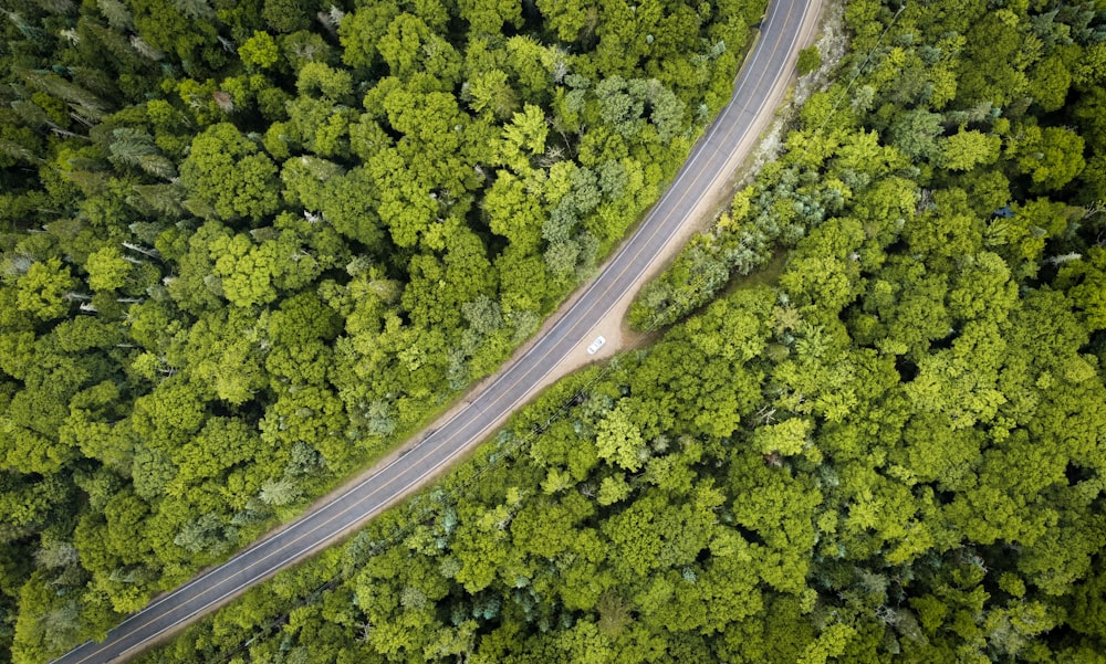 an aerial view of a road in the middle of a forest