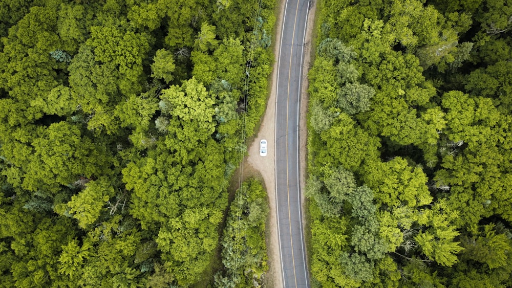 an aerial view of a road in the middle of a forest