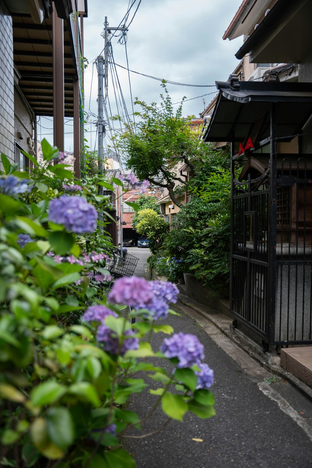 a narrow street with purple flowers on the side of it