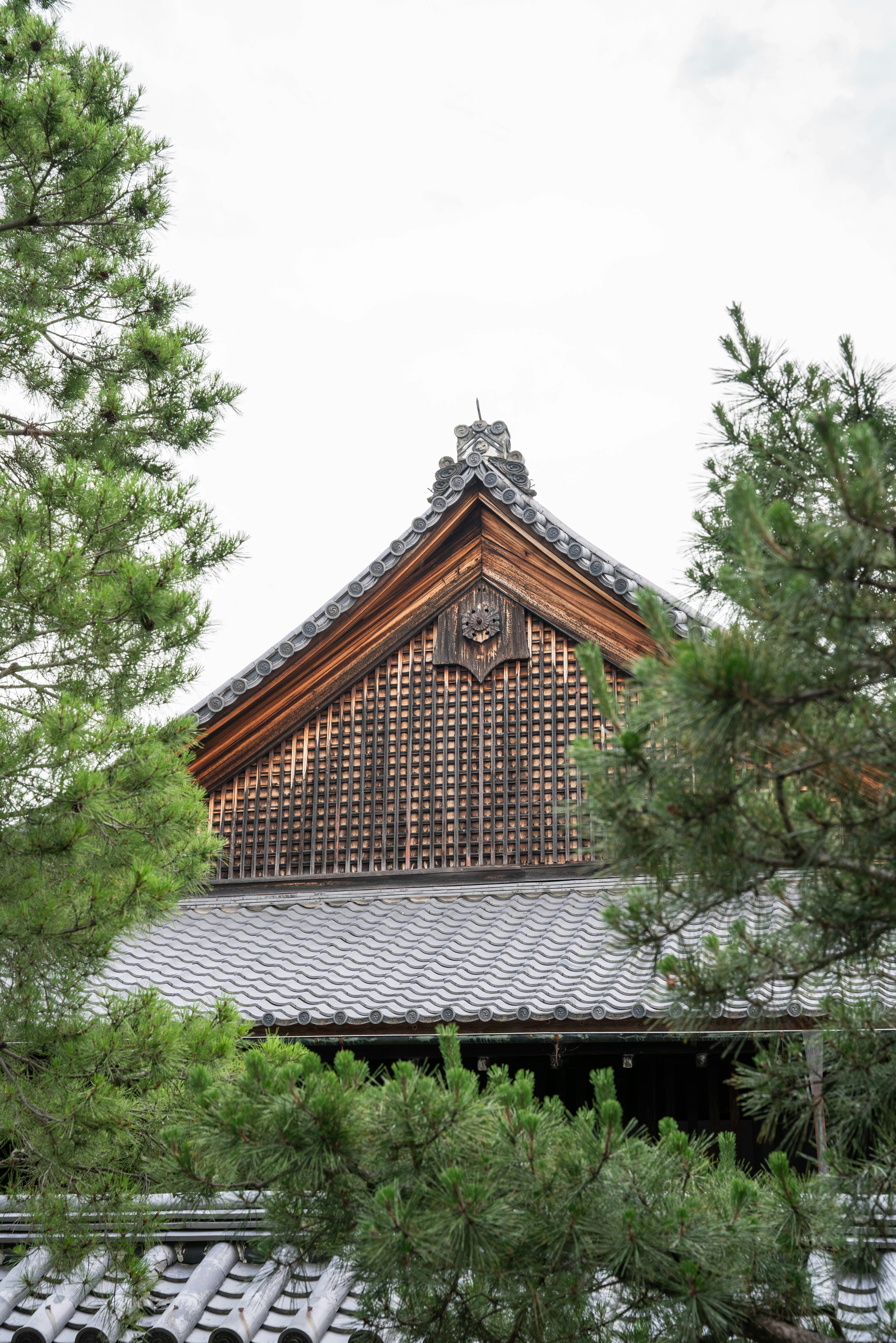 Photo by davidemrich