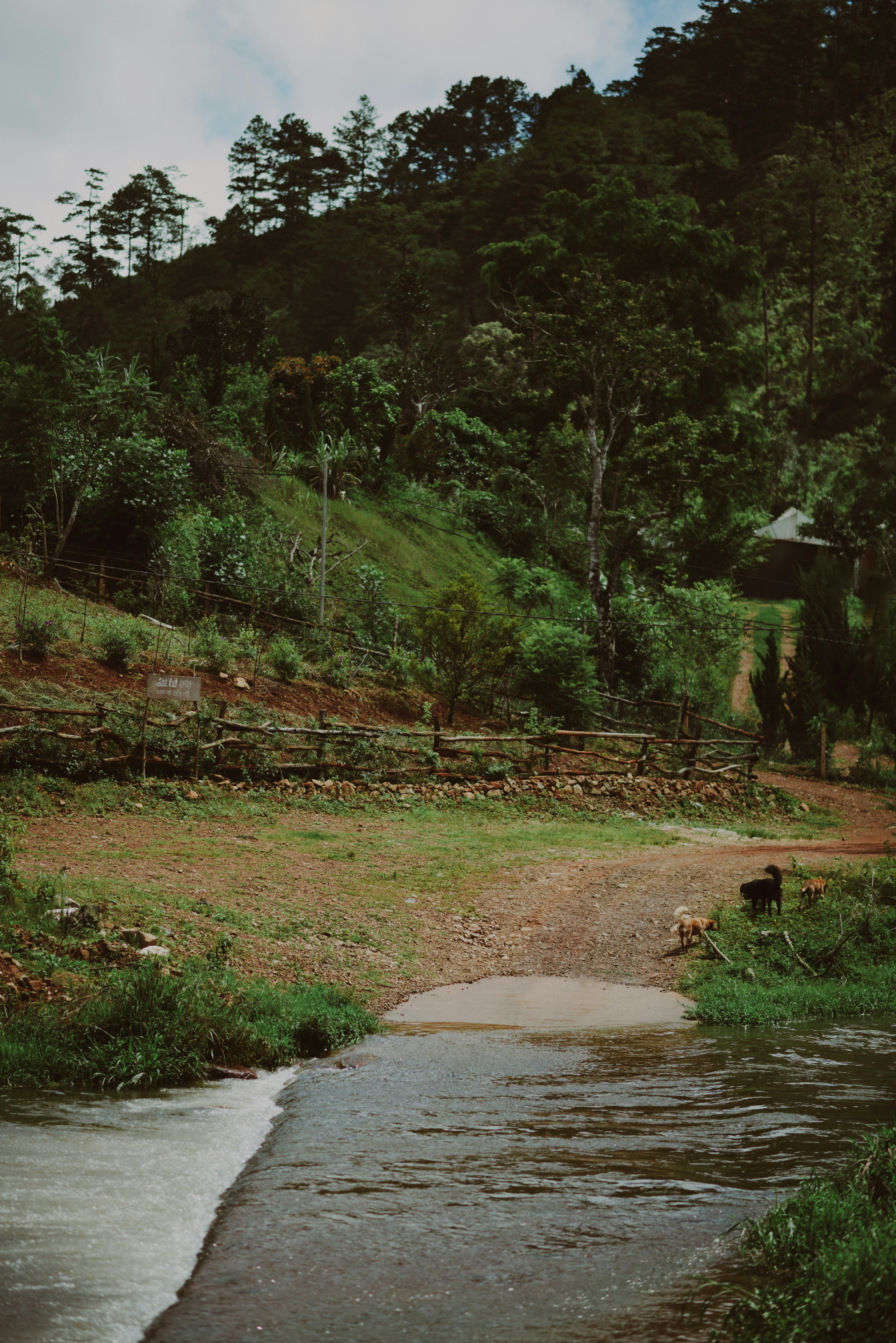 Photo by tandeeptry
