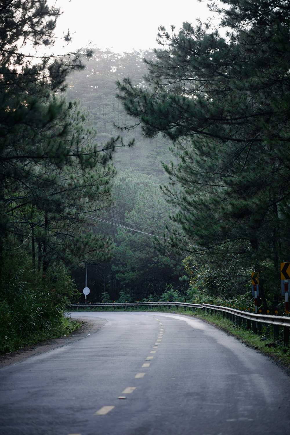 an empty road surrounded by trees and a forest