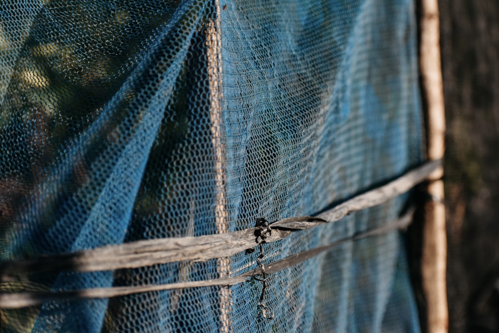 a close up of a blue tarp with a bird on it