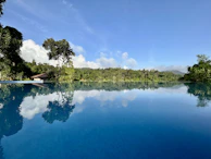 Saltwater infinity pool reflecting the clear blue sky and surrounding olive trees.