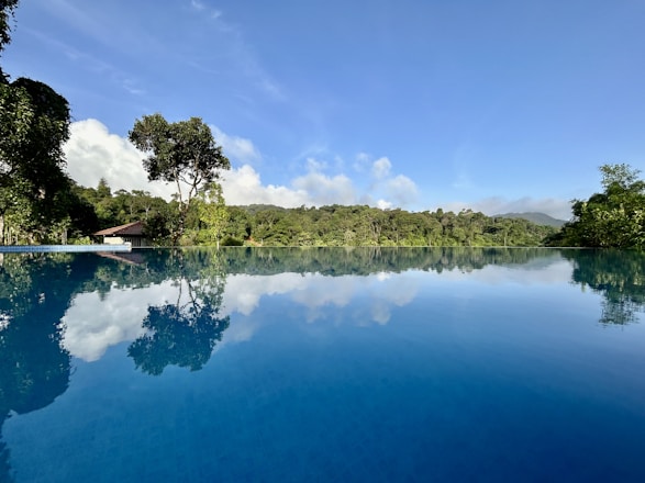 A sparkling clean pool surrounded by lush greenery under a clear blue sky.