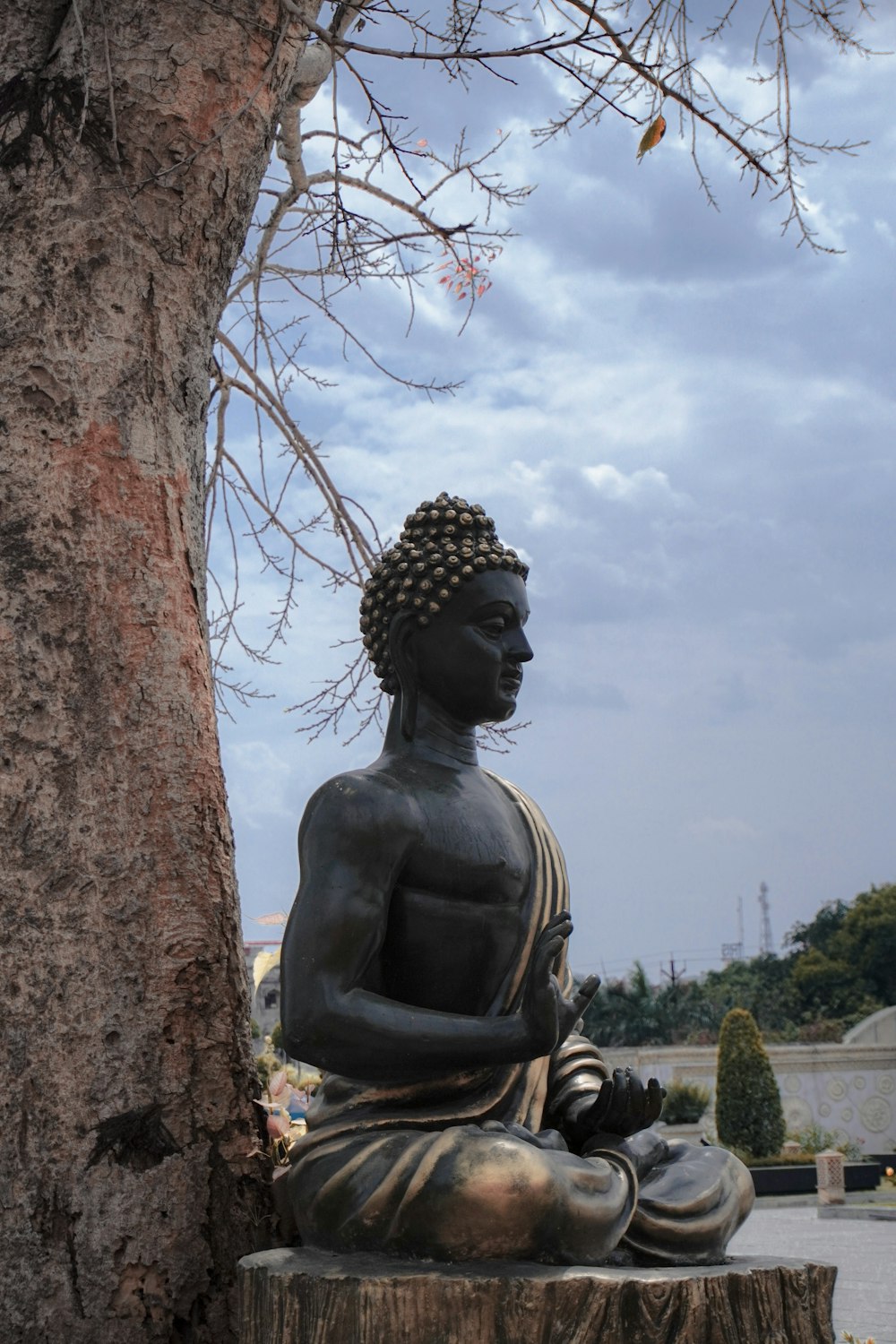 a buddha statue sitting on top of a tree stump