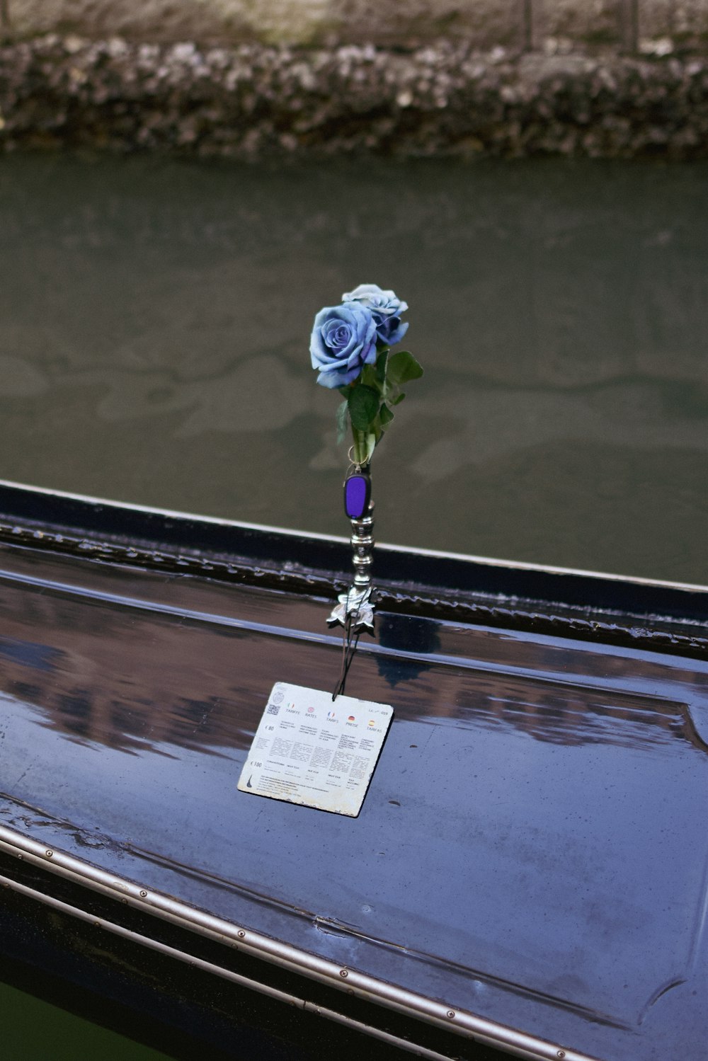 a bouquet of blue roses sitting on the hood of a car