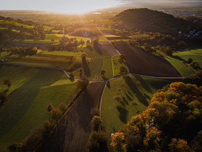 Sunset over a patchwork of agricultural plots, highlighting the diversity of crops studied.