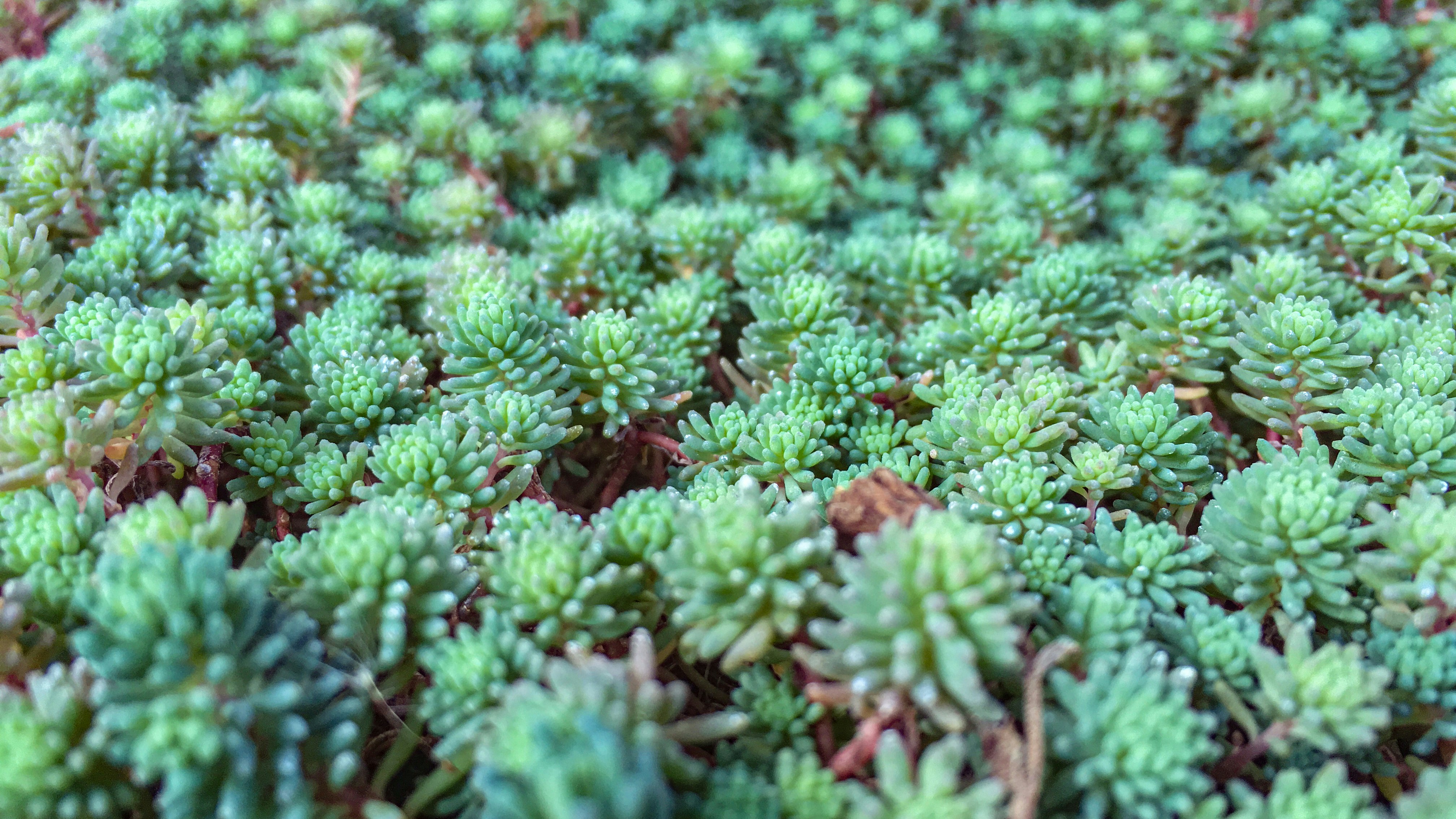 Photo by kevinwang413156