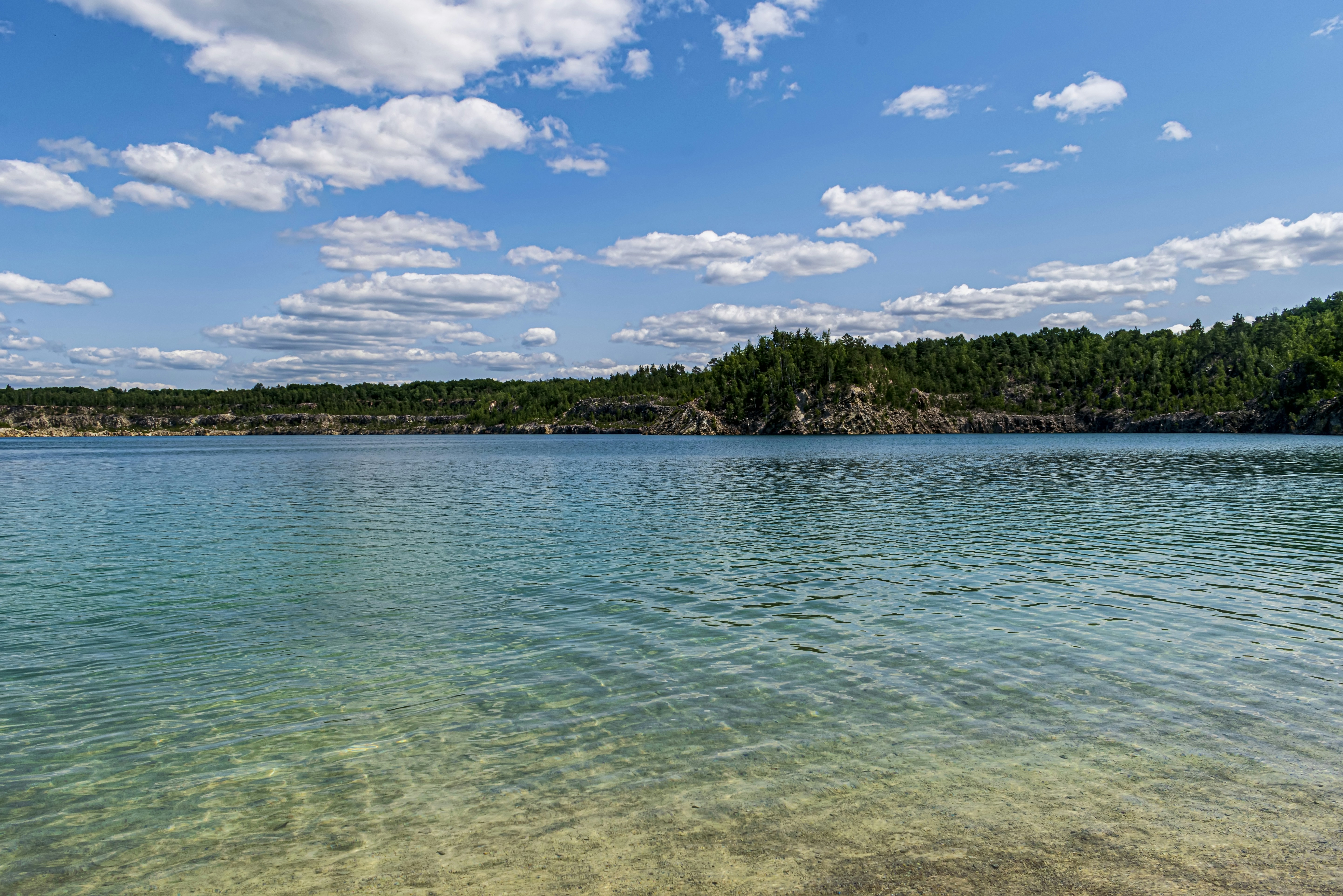 a large body of water surrounded by trees
