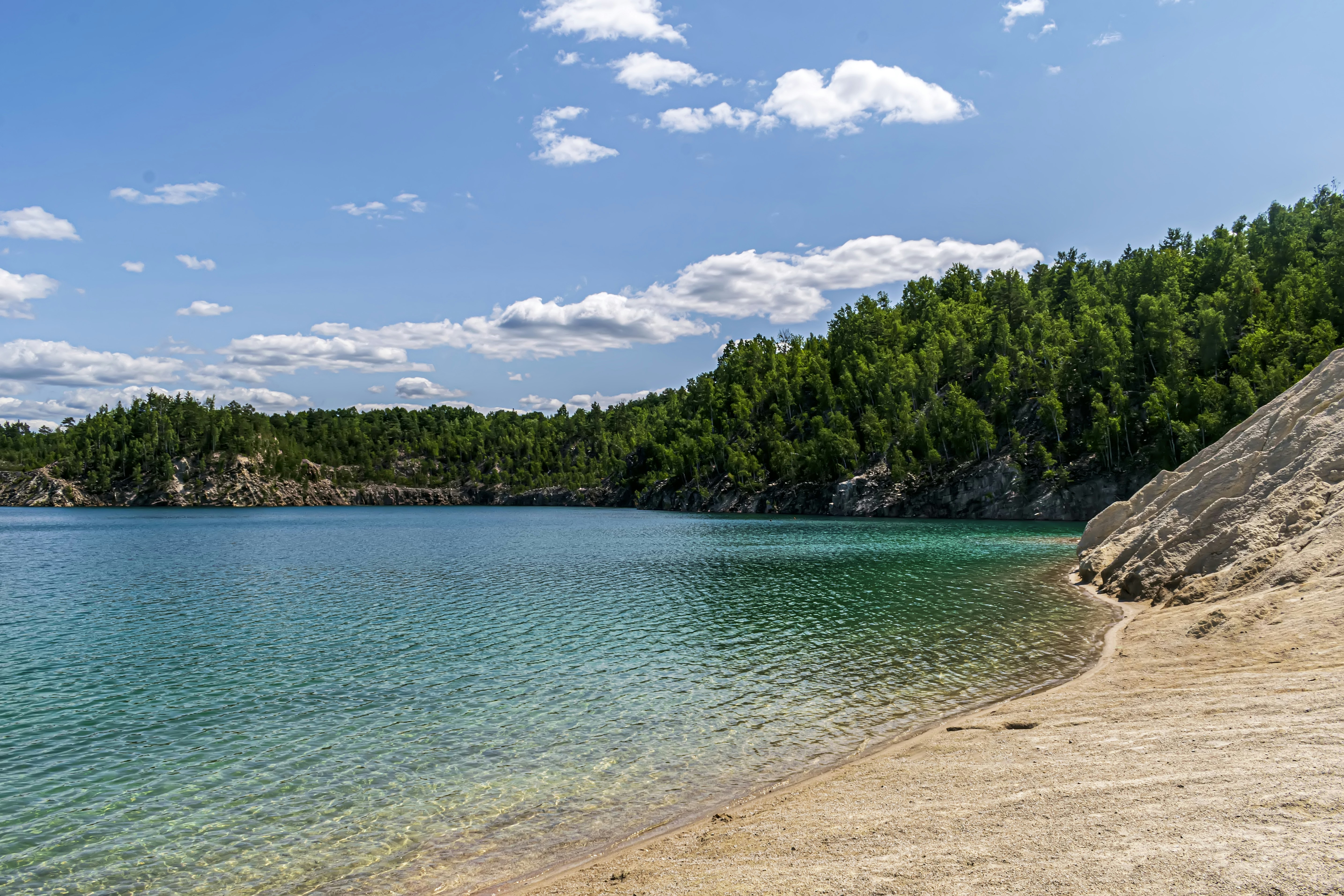 a large body of water surrounded by a forest