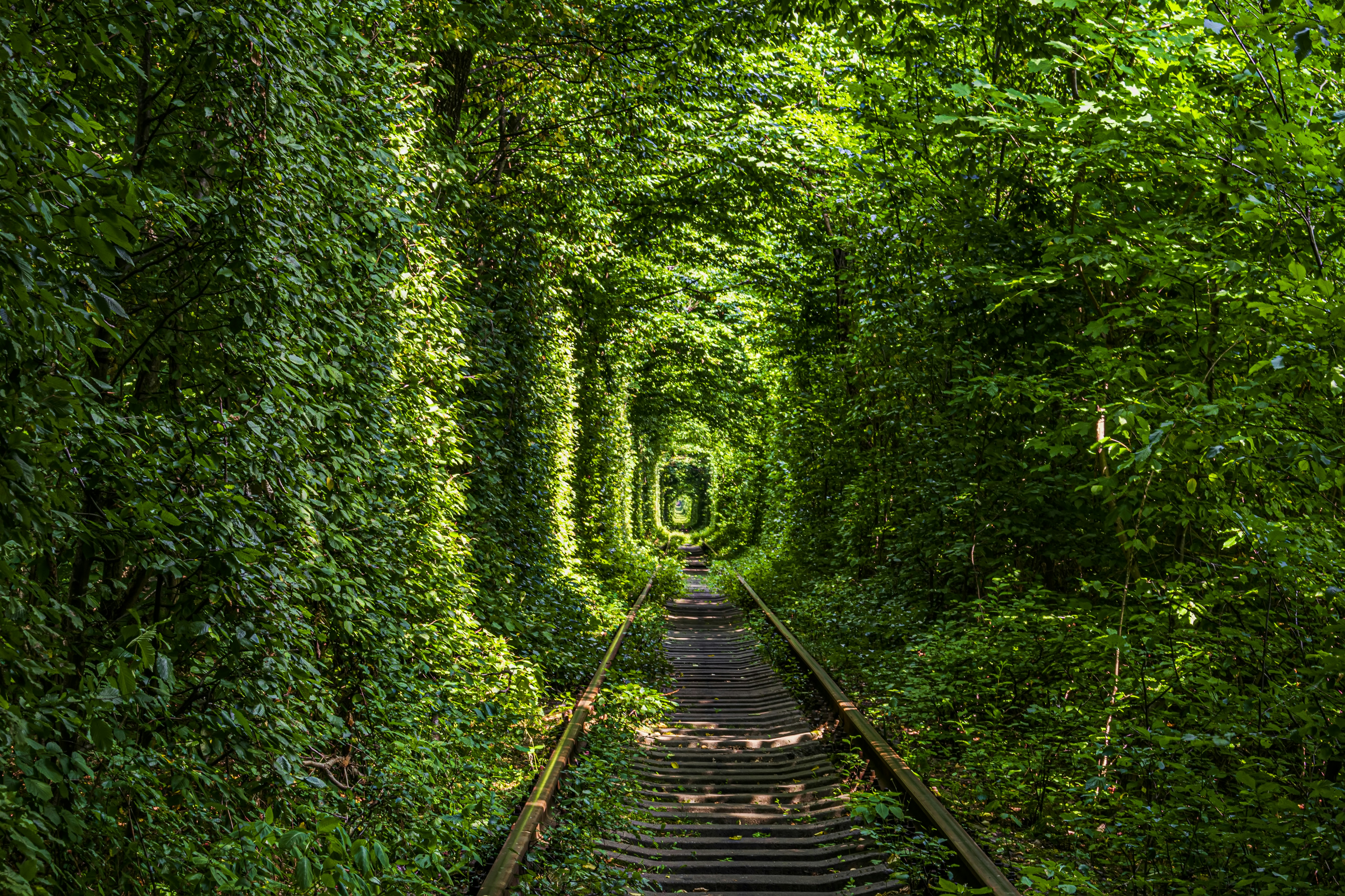 Photo by kostiantynvierkieiev