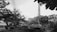 Numerous construction vehicles including cranes and heavy machinery are present at a construction site, surrounded by trees and buildings. The image is in black and white, providing a stark contrast between the machinery and the environment.