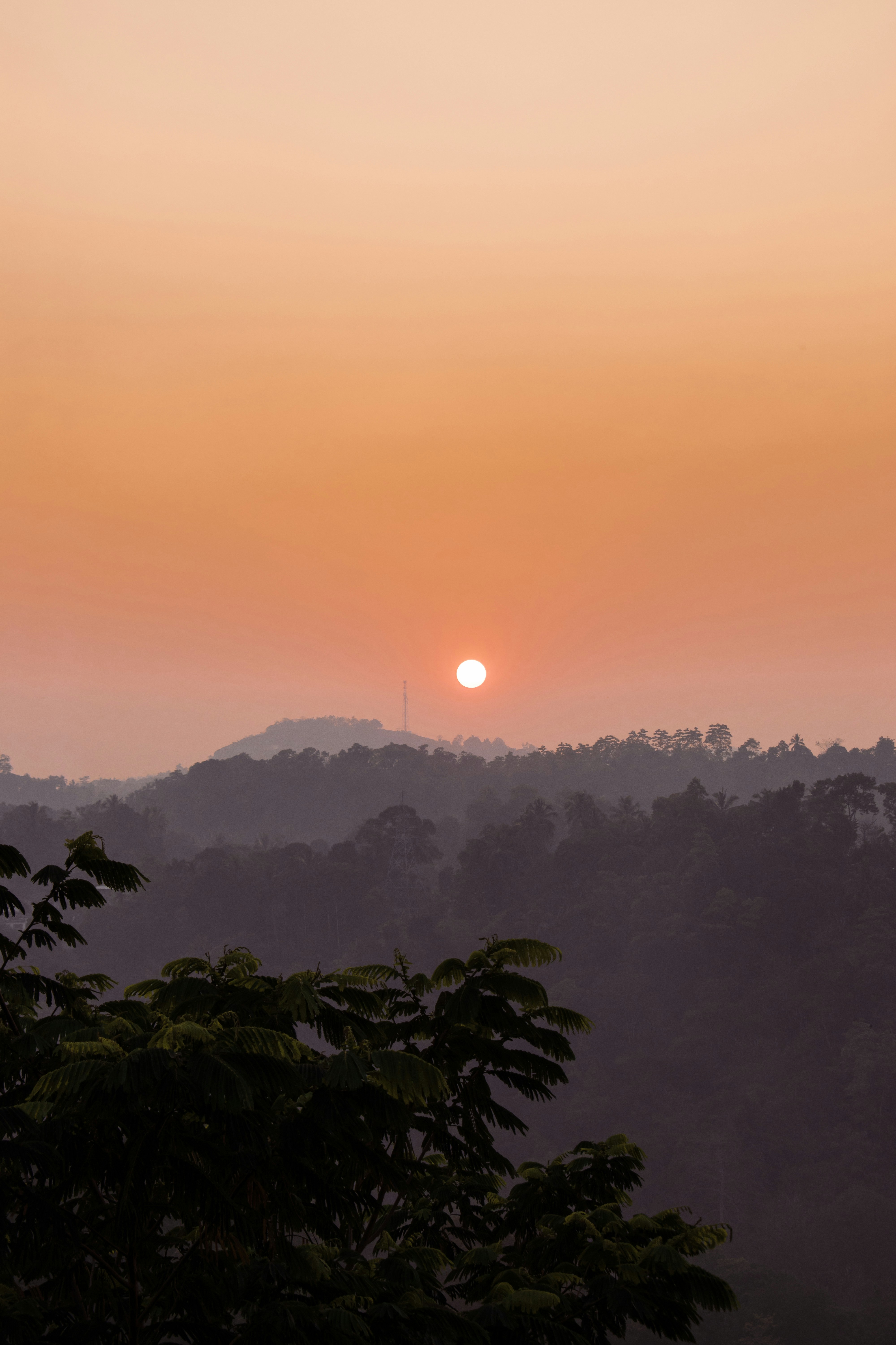 Photo by buddhi_jayasundara