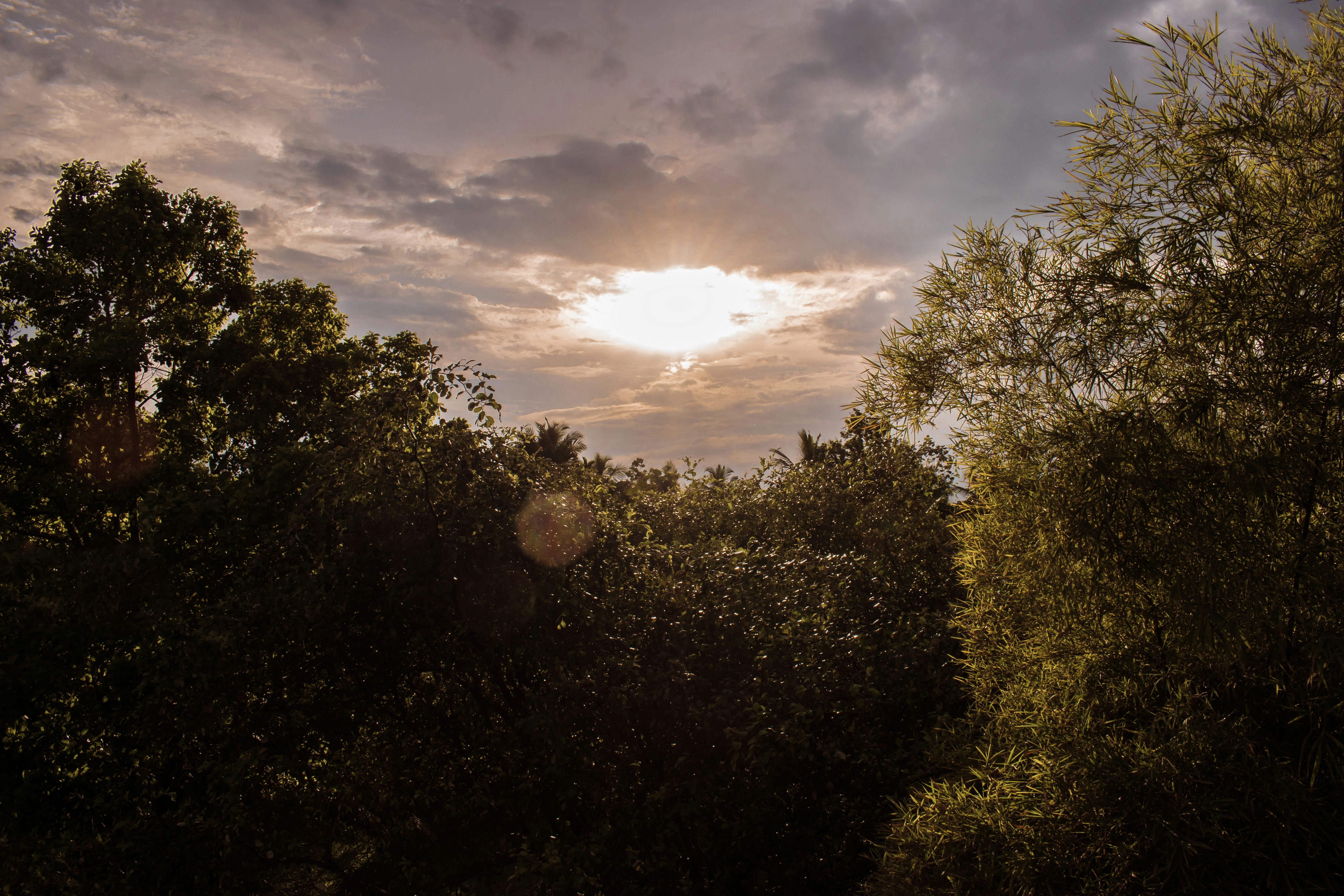 Photo by buddhi_jayasundara