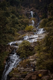 a group of people standing next to a waterfall