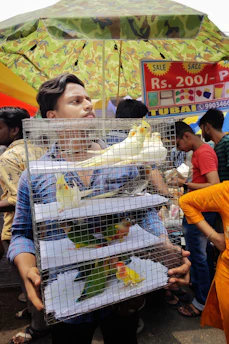 A vibrant market stall filled with colorful bird cages, feeders, and happy customers browsing.