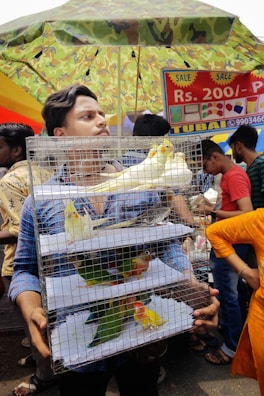 A person is holding a multi-tiered wire cage containing several colorful birds, including parrots. The scene is set in a busy marketplace, as indicated by surrounding people and a variety of stalls. The weather is clear, and an assortment of goods is being advertised in the background under a camouflage-patterned umbrella.