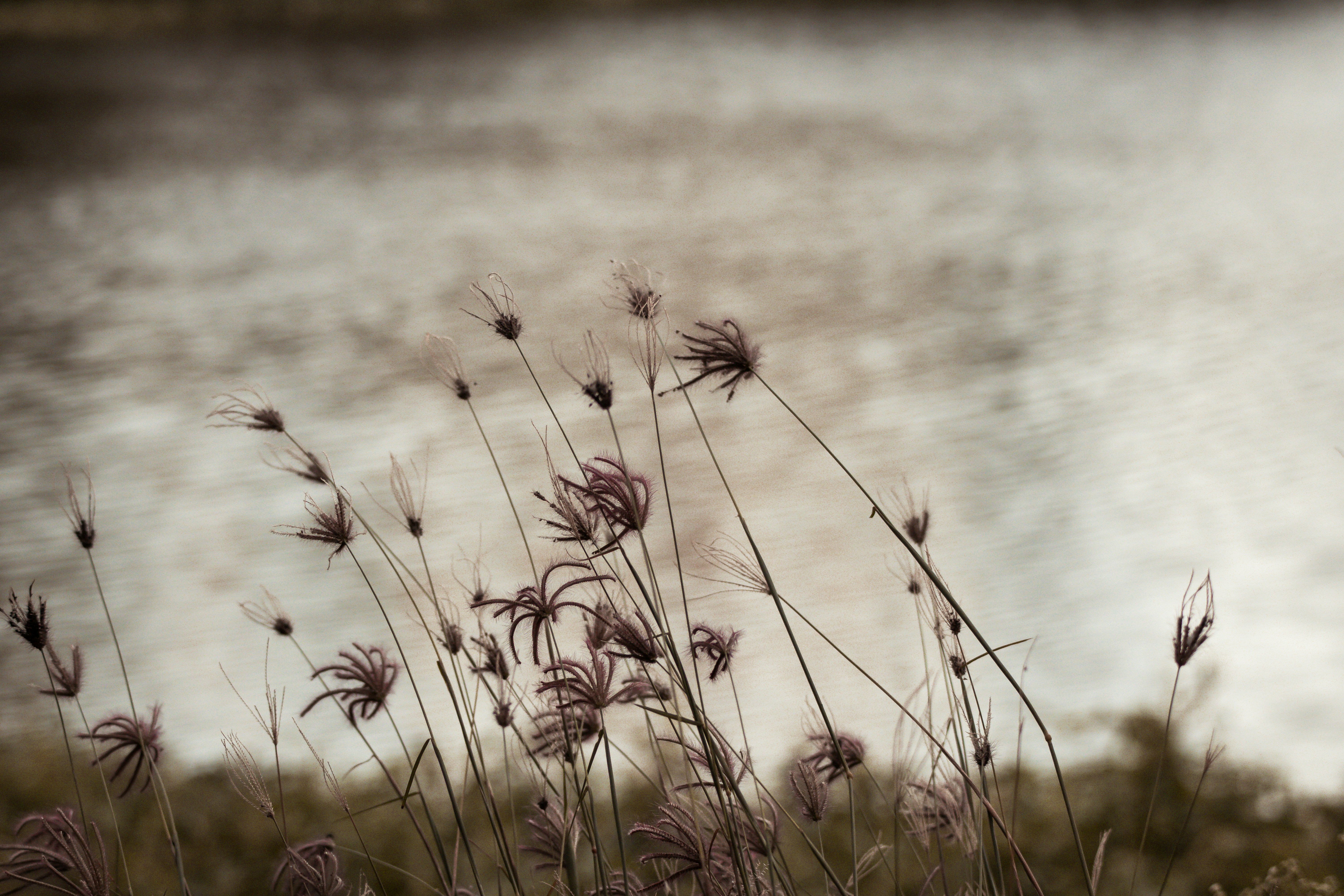 Photo by sameer_srivastava