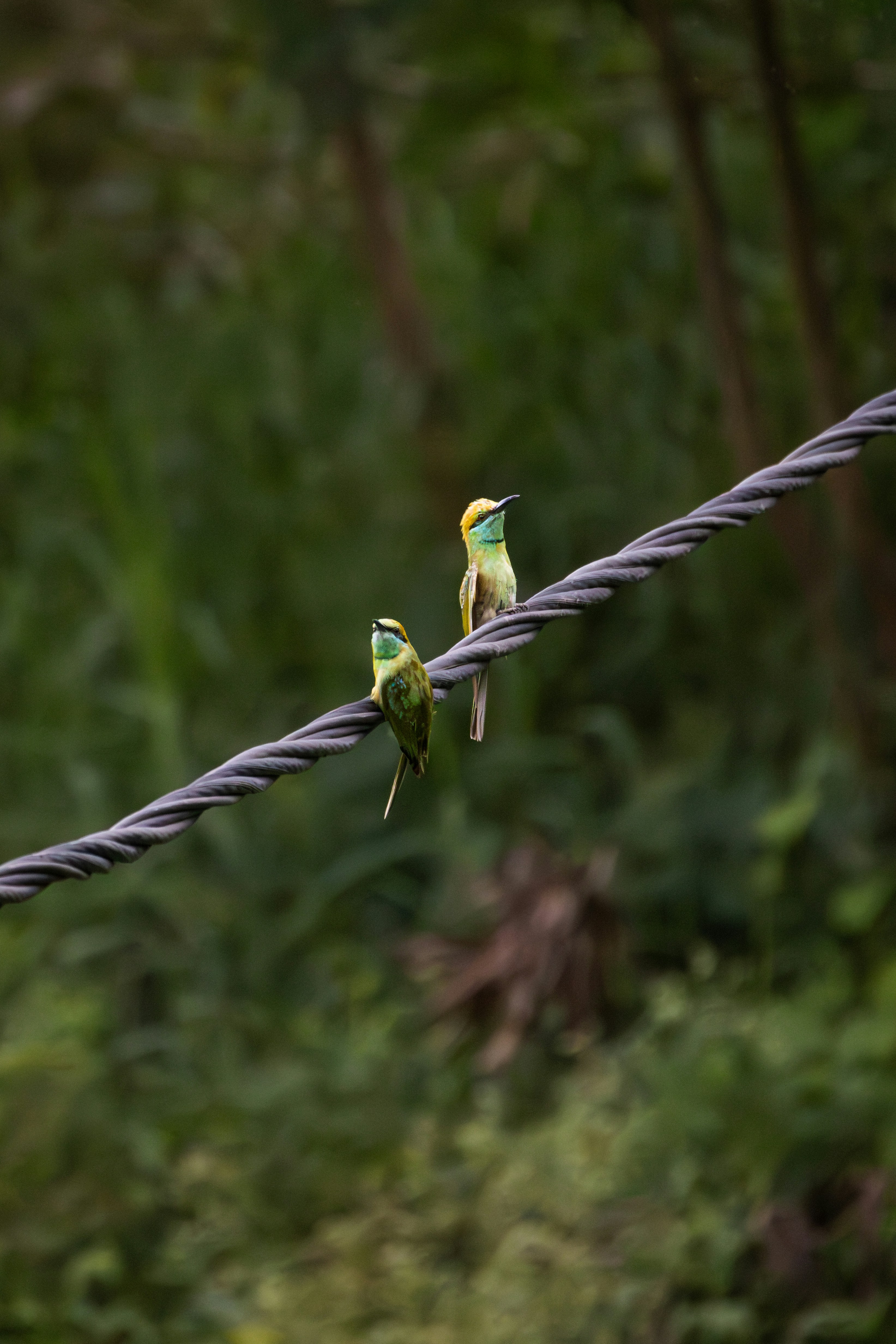 Photo by sameer_srivastava